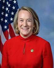 Rep. Budzinski