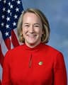 Rep. Budzinski